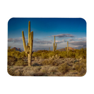 Deserts Superstition Mountains, Arizona Magnet