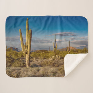Deserts   Superstition Mountains, Arizona Sherpa Blanket