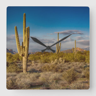 Deserts   Superstition Mountains, Arizona Square Wall Clock