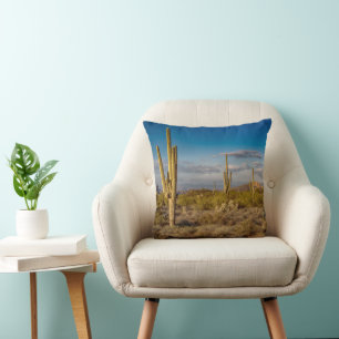 Deserts Superstition Mountains, Arizona Throw Pillow