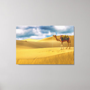 Deserts Thar Desert Rajasthan India Camel Canvas Print