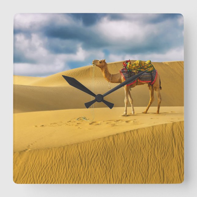 Deserts | Thar Desert Rajasthan India Camel Square Wall Clock (Front)