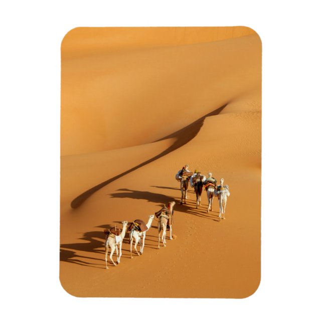 Deserts | Tuareg Walk with Camels Magnet (Vertical)