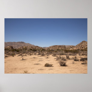 Desertscape Poster