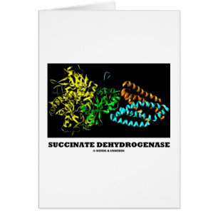 Déshydrogénase de succinate (chimie)