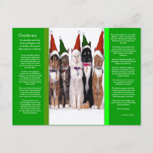 DESIDERATA Christmas Cats Postcard