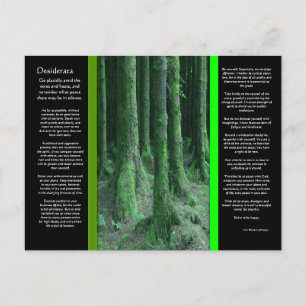 DESIDERATA Dark Mossy Forest Postcard