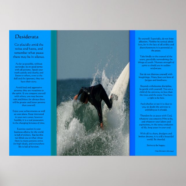 DESIDERATA Face Dive Posters (Front)