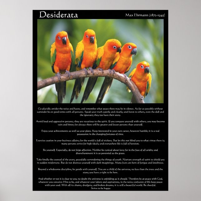 Desiderata  five orange and green canary poster (Front)