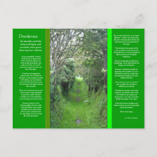 DESIDERATA Grass Road Postcard