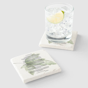 Desiderata Green Leaves Stone Coaster