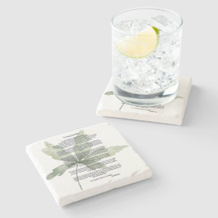 Desiderata Green Leaves Stone Coaster