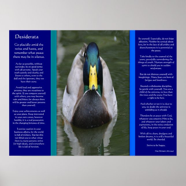 DESIDERATA Looking Duck Posters (Front)