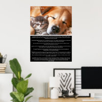 Desiderata Peaceful Companionship: Kitten and Dog