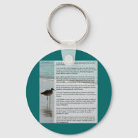 Desiderata Poem - Seagull on the Beach Scene