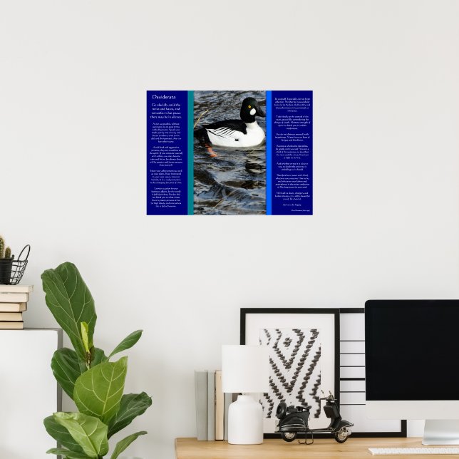 DESIDERATA Recherche Poster Canard (Bureau à domicile)