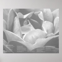 Desiderata - Satin Texture Rose in Black and White