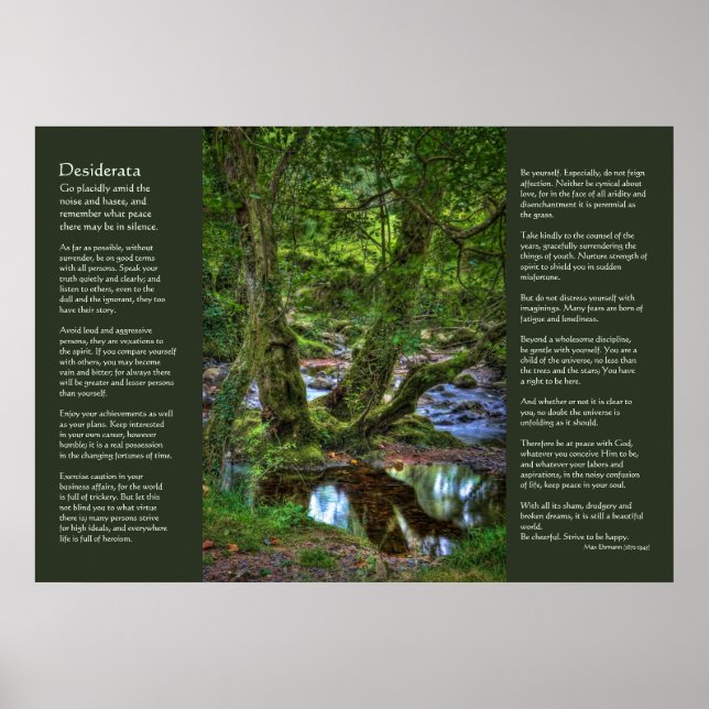 Desiderata - Spitchwick Creek Trees Poster (Front)
