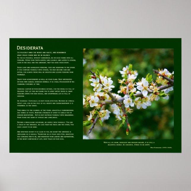 Desiderata - Sun-Dappled Spring Hawthorn Poster (Front)