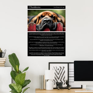 Desiderata: Sunlight and Serenity Poster