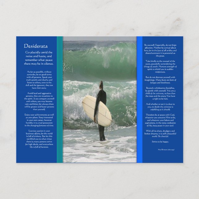 DESIDERATA Surfing The Wave Postcard (Front)