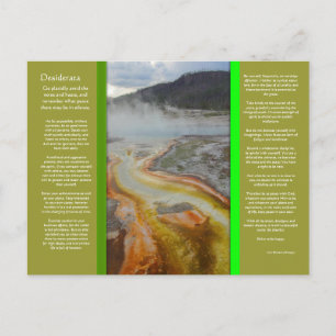 DESIDERATA Thermal Pools Postcard