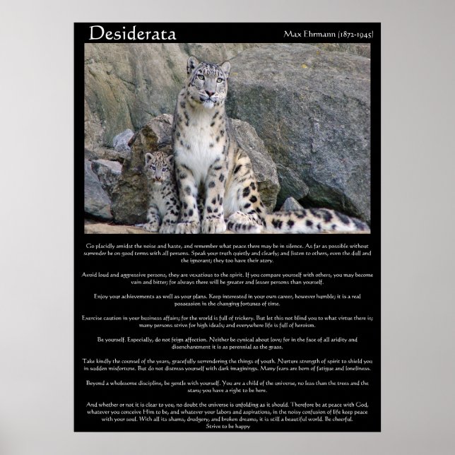Desiderata  two cheetahs in the mountain poster (Front)