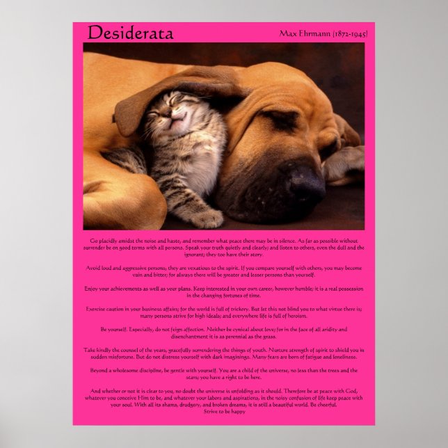 Desiderata under the beagle ear sleeping Posters (Front)