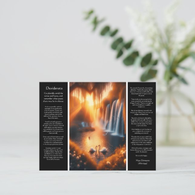 Desiderata Waterfall: Willow Heart Falls Postcard (Standing Front)