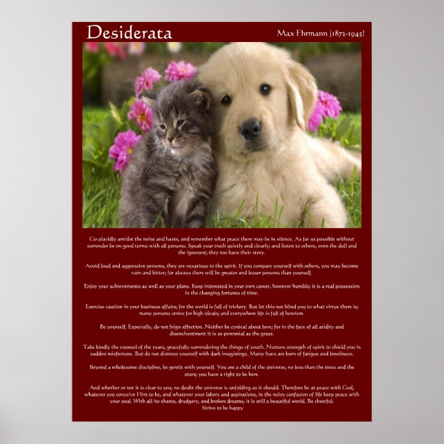 Desiderata Young Love Fight Posters (Devant)
