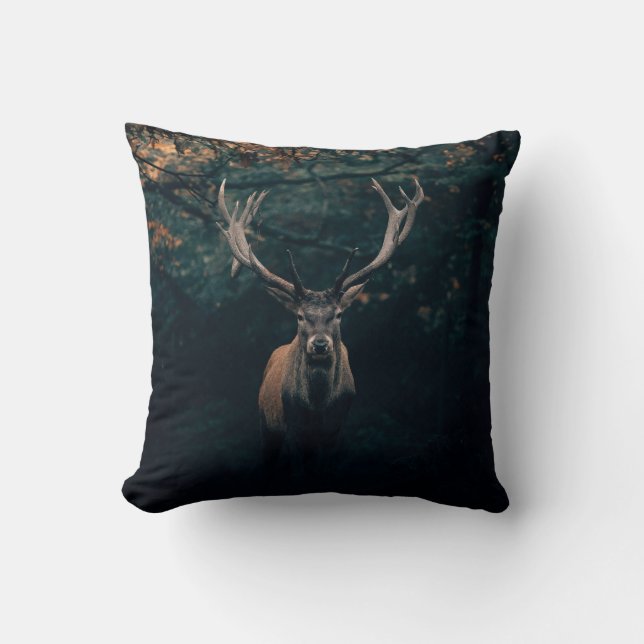 design coussin barasingha (Recto)