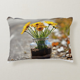 Design coussin coloré