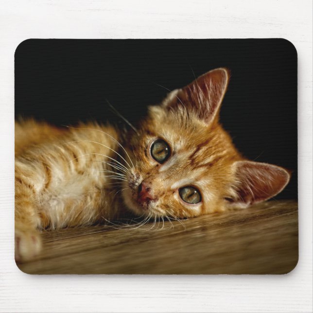 Design - Cute kitten Mouse Pad (Front)