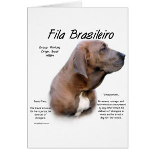 Design d'histoire de Fila Brasileiro