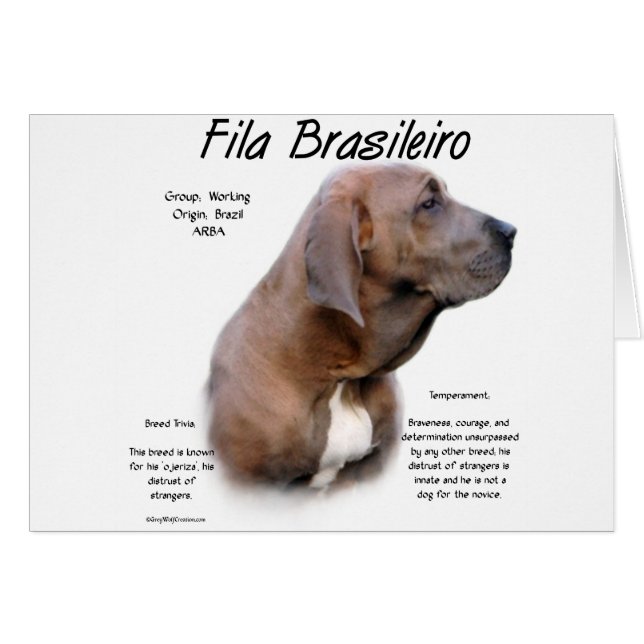 Design d'histoire de Fila Brasileiro (Devant horizontal)