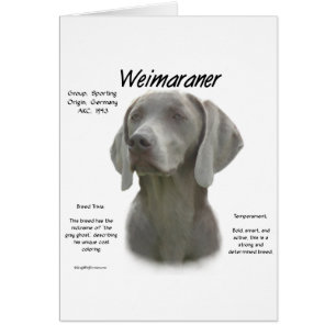 Design historique Weimaraner