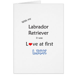 Design Lick Retriever Labrador