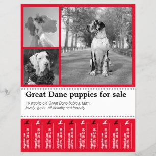 Design Selling Puppy Flyer