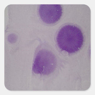 design square sticker