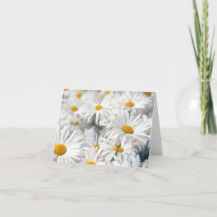 Design tendance de marguerite