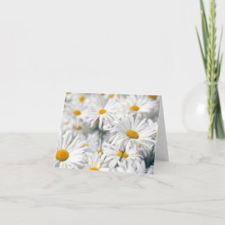 Design tendance de marguerite