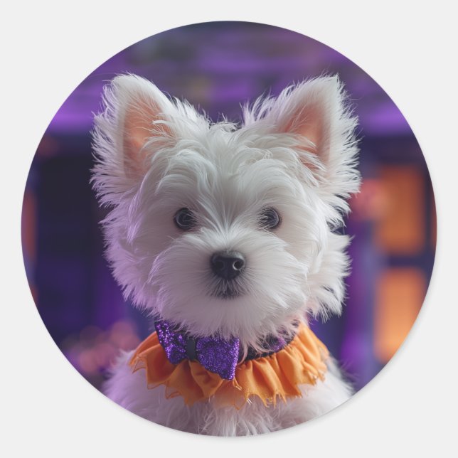 Design your own Custom Photo Stickers (Front)