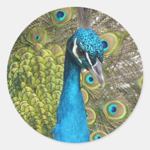 Design your own Custom Photo Stickers Round Circle