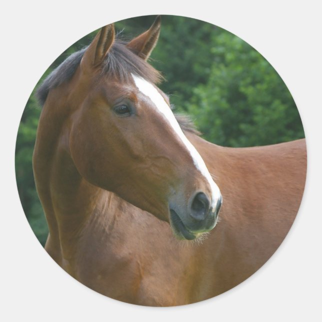 Design your own Custom Photo Stickers Round Circle (Front)