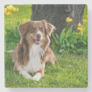 Design Your Own Custom Photo Stone Coaster