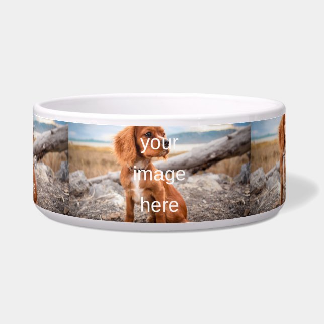 DESIGN YOUR OWN PET BOWL (Front)