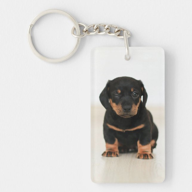 Design Your Own Pet Memory Photo Collage Keychain (Front)