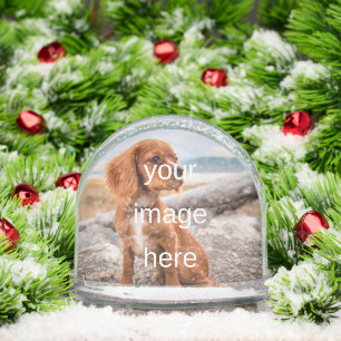 DESIGN YOUR OWN SNOWGLOBE