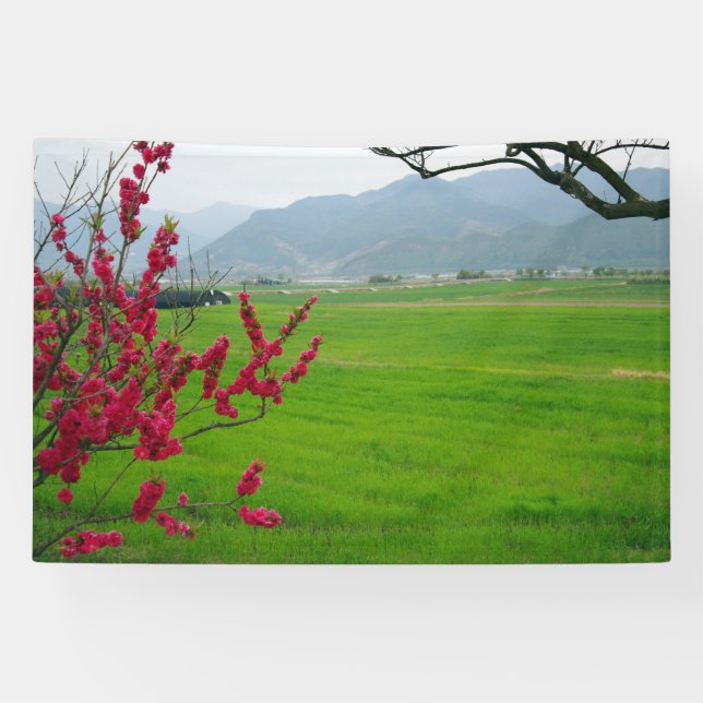 Designed with a photograph of South Korea, Printed Banner (Horizontal)