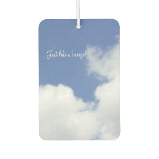 Designer Air Freshener